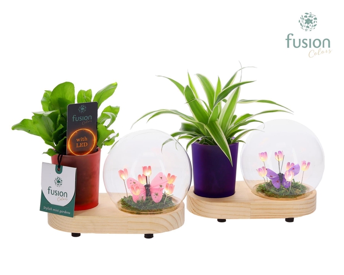 <h4>LED Lichtbal Bloemen houten planter met groene planten</h4>