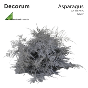 ASP 1e veren Silver 45cm box x50