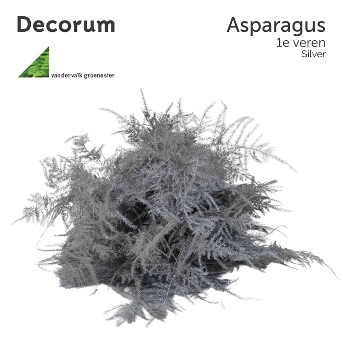 <h4>ASP 1e veren Silver 45cm box x50</h4>