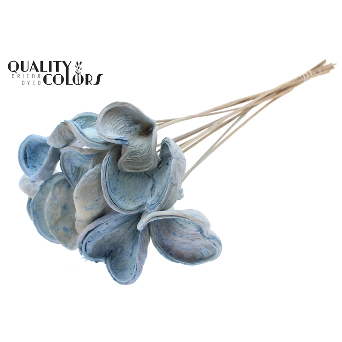 <h4>Badam on stem Intense Light Blue</h4>