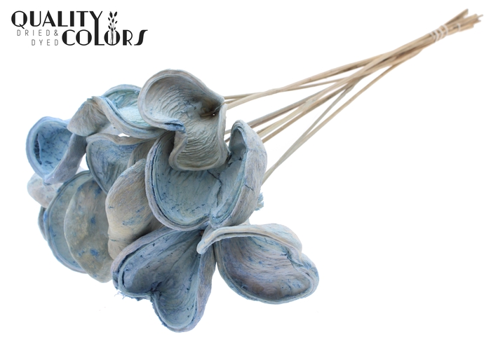 <h4>Badam On Stem Bleached Light Blue</h4>