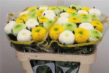 <h4>CHR G EASTER MIX</h4>