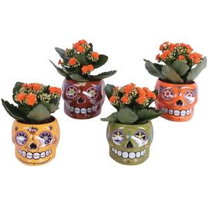 Halloween Arr. Indoor Ceramic 'Dia De Los Muertos' Ø13cm 1PP