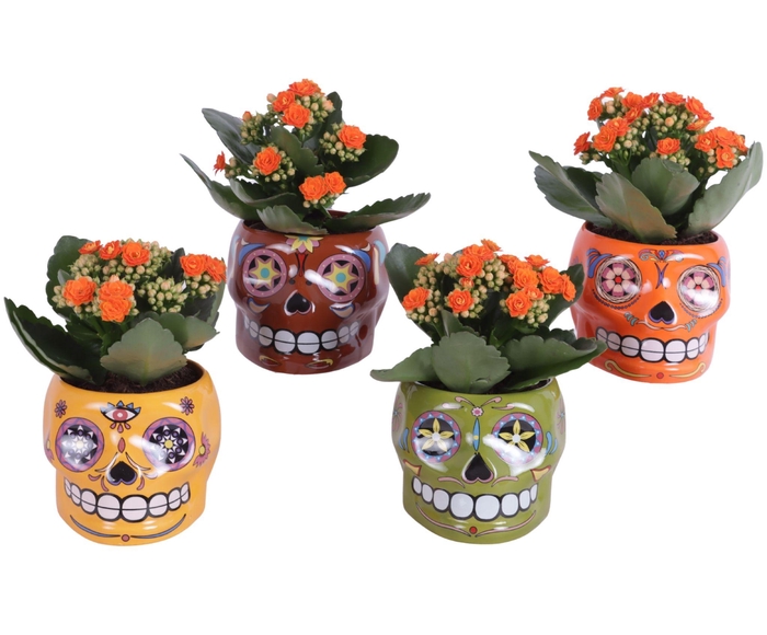 <h4>Halloween Arr. Indoor Ceramic 'Dia De Los Muertos' Ø13cm 1PP</h4>