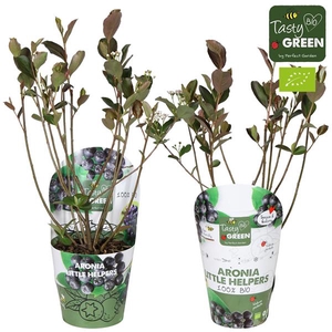Aronia Little Helpers Bio P14 potcover