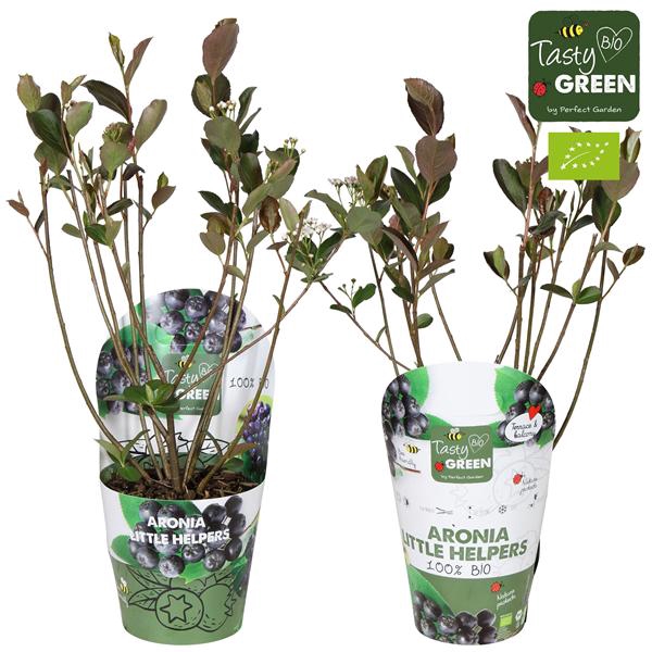 <h4>Aronia Little Helpers Bio P14 potcover</h4>