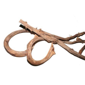 Branch Banana Stick 5Pcs