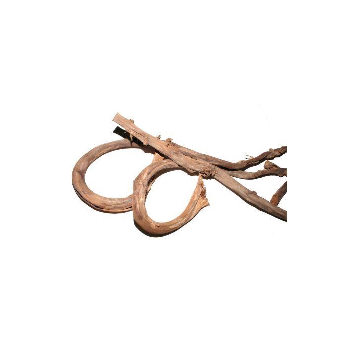 <h4>Branch Banana Stick 5Pcs</h4>