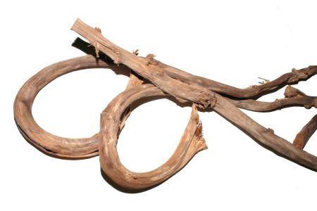 Branch Banana Stick 5Pcs