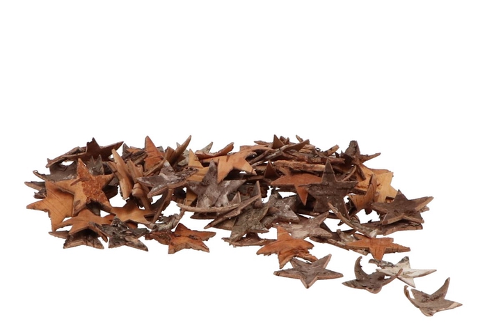 Nature Star Bark Birch 4cm P/100