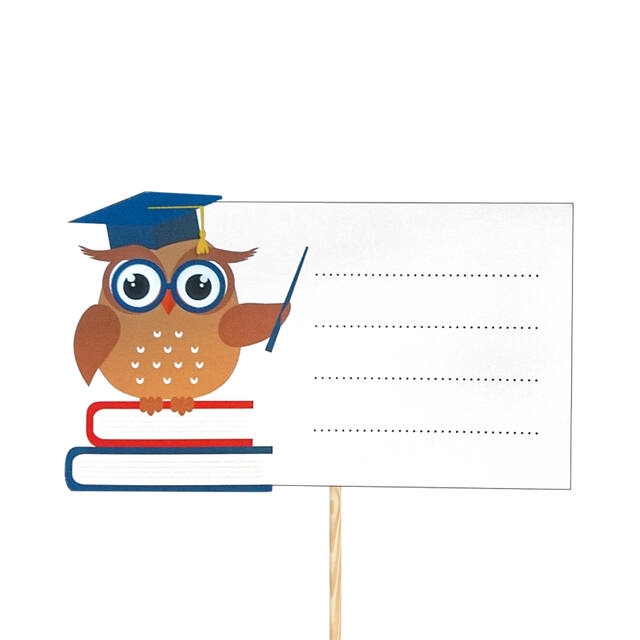 Pick Owl Teacher foam 10x5,8cm+12cm stick