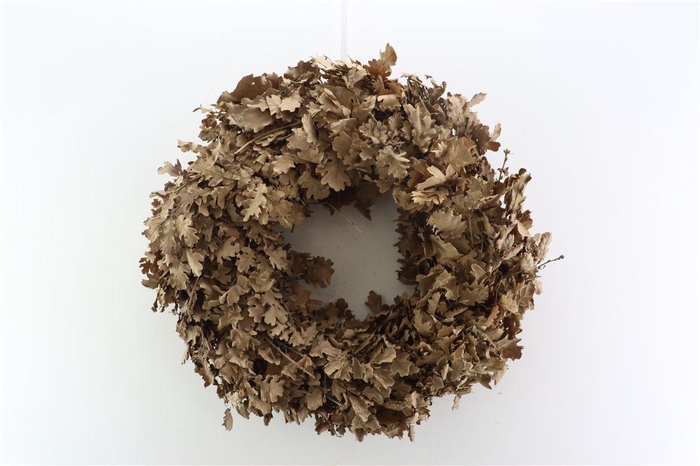 <h4>Wr Oak Mini 60cm Natural Brown</h4>