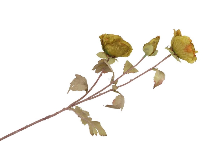 <h4>Silk Poppy 3x Green 76cm</h4>