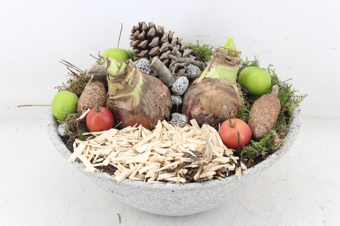 <h4>arr4 Amaryllis MB - Ker. schaal dots grijs</h4>