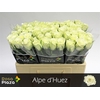 R Gr Alpe Dhuez X10