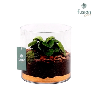 Glazen cilinder Lucille