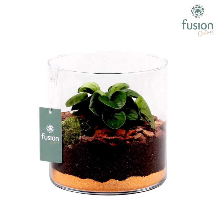 <h4>Glazen cilinder Lucille</h4>