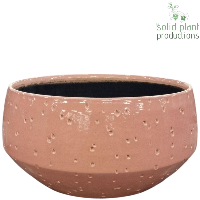<h4>X C108 SOPHIA SOFT PINK LARGE</h4>