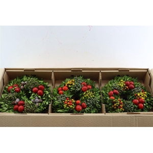 Wr Sierfruit 30cm (anttar)