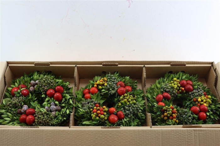 <h4>Wr Sierfruit 30cm (anttar)</h4>