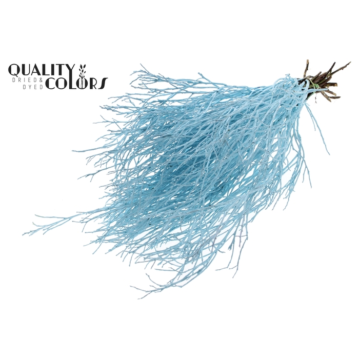 <h4>Huckelberry per bunch Light Blue</h4>