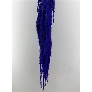 Preserved amaranthus paint purple