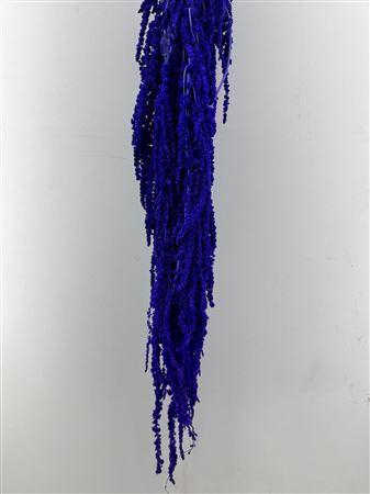 <h4>Preserved amaranthus paint purple</h4>
