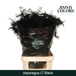 Aspa lang getopt Black
