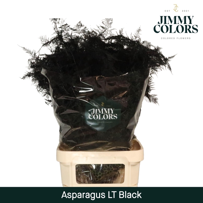 <h4>Aspa lang getopt Black</h4>