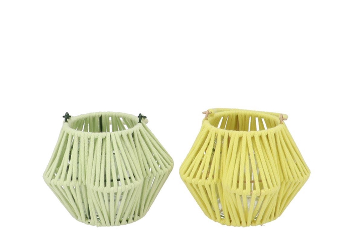 <h4>Cruz Yellow Pistache Lantern Flower Ass 11x20x14cm</h4>