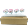 Dried Bleached Dandelion Fantasy Box