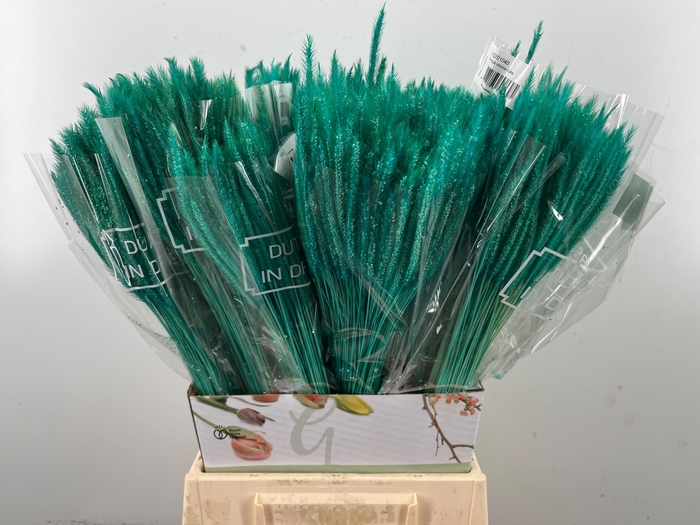 <h4>DROOGBL BEWERKT H%</h4>