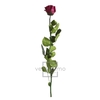 Roos op steel Standard 55cm Cranberry