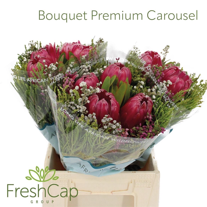Bouquet Promo 4 Protea