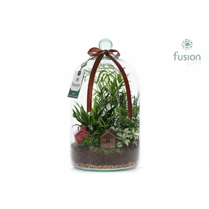 Green Bottle Novella Large met arrangement