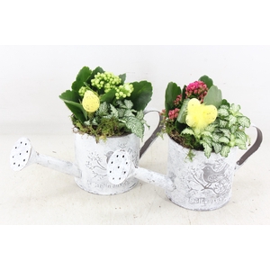 arr2 TD - Zink gieter easter - roze/wit