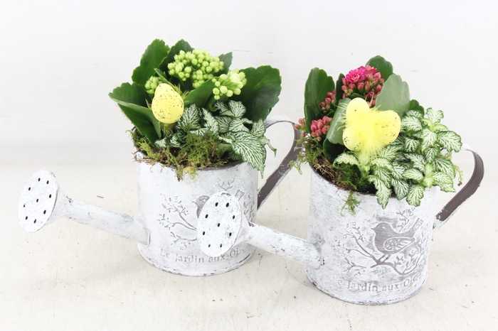 <h4>arr2 TD - Zink gieter easter - roze/wit</h4>