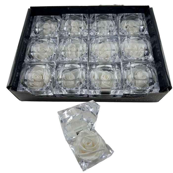 <h4>R Diamond Rosa White</h4>