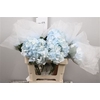 Hydr Premium Light Blue