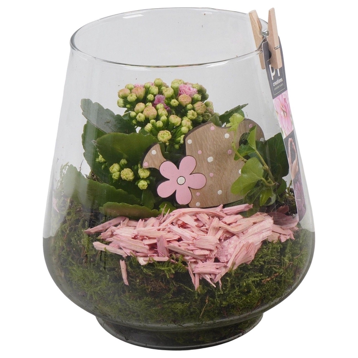 <h4>Arr.   Planten L%</h4>