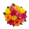 ROSA MISTA 040 CM ESTUFA
