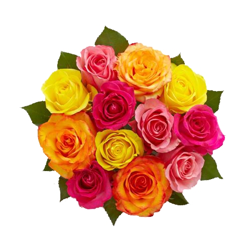 <h4>ROSA MISTA 040 CM ESTUFA</h4>