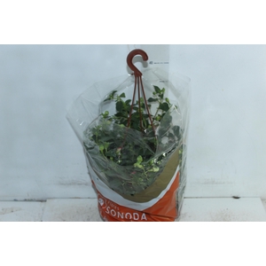 BRINCO DE PRINCESA C21