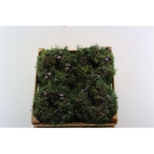 Wr Advent Naturel 20cm ( Anttar )