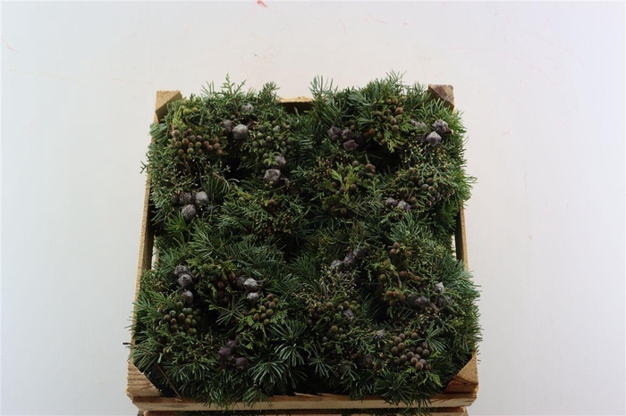 <h4>Wr Advent Naturel 20cm ( Anttar )</h4>