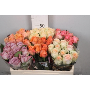 R Gr Gemengd In Fust