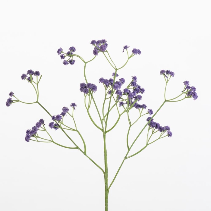 <h4>AF Gypsophila spr L62cm lilac</h4>