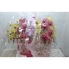 PHAL. CASC. ESP. 2 HT P15 2 HA MULT