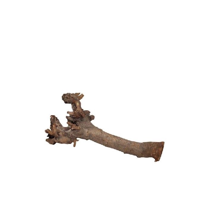 <h4>Droogdeco Kuwa root 40cm</h4>