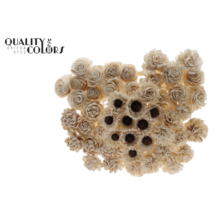 <h4>Shola Flower Mix on stem Natural</h4>